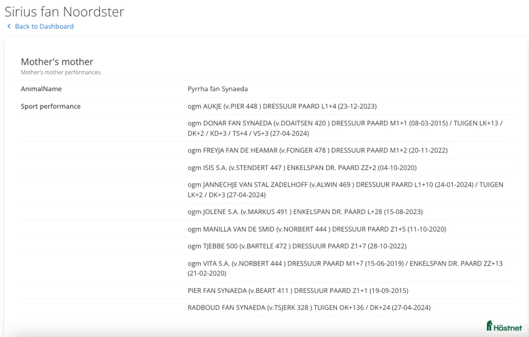 Allround hästar till salu: Sirius en lyxig drömhäst - Annons 9
