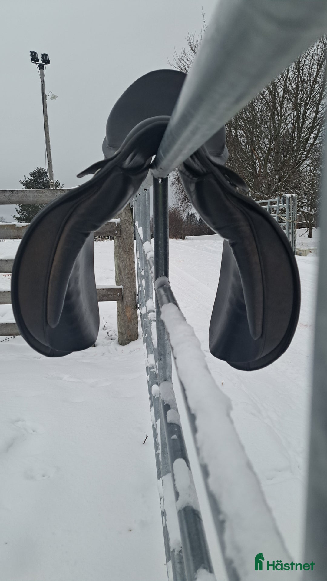 Sadlar hästutrustning till salu: Kvalitet dressyrsadel Röösli svart - Annons 3