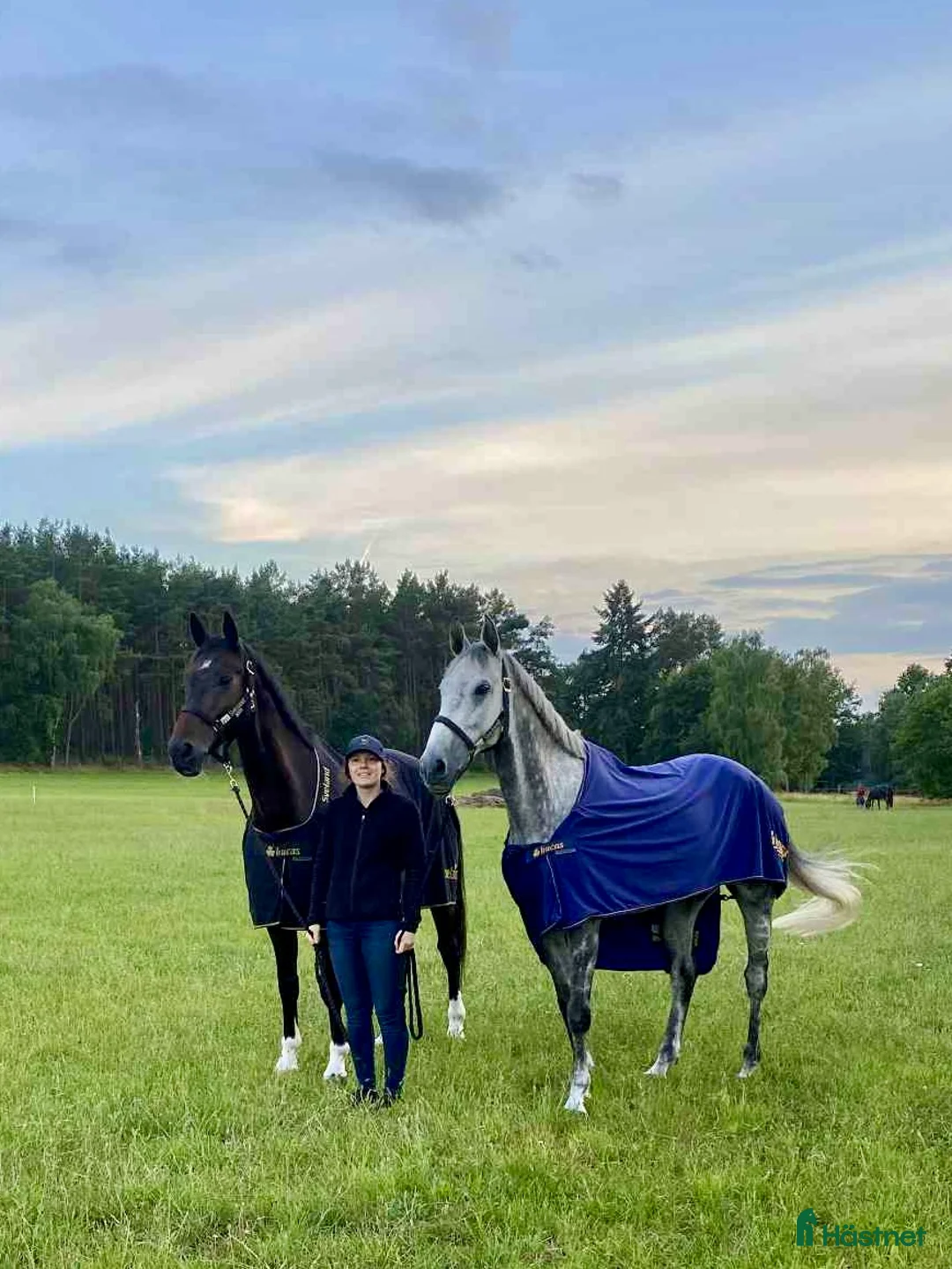  hästservice finnes: Inridning/Utbildning/omskolning - Annons 5