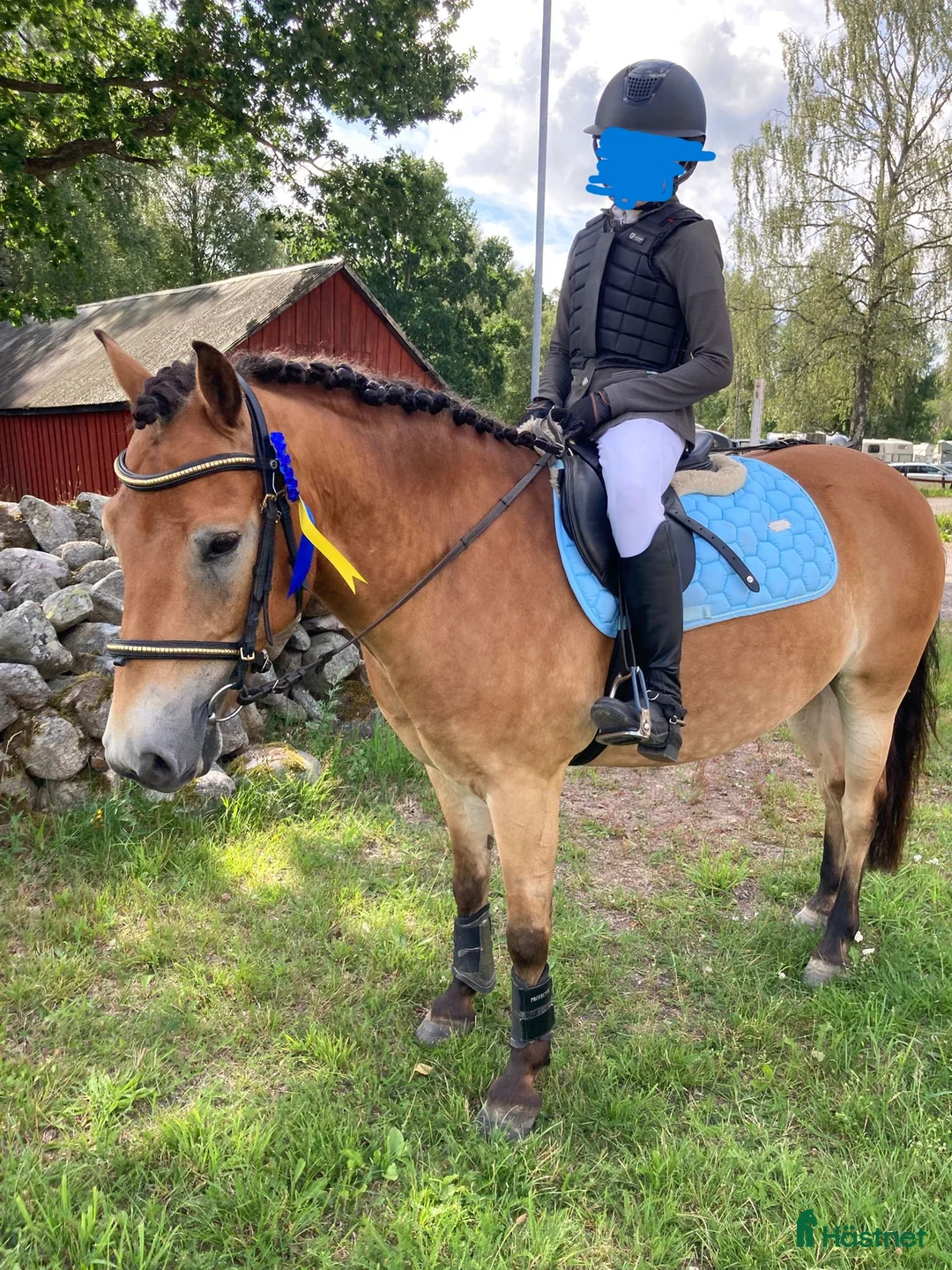 Hoppning hästar till salu: Maxad B-ponny i Valdemarsvik - Annons 3