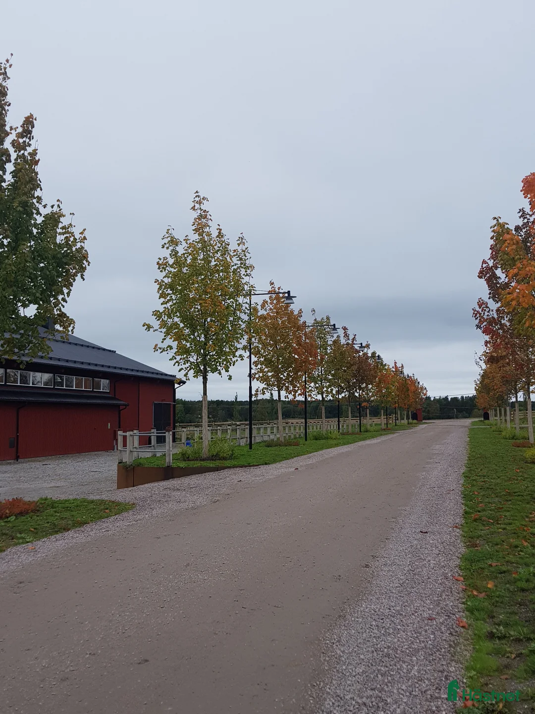 stallplats finnes: Träningsanläggning 20 min från centrala Stockholm i Stockholm - Annons 2