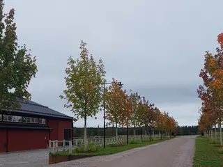 stallplats Träningsanläggning 20 min från centrala Stockholm - Annons 3