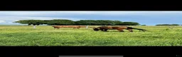  stallplats finnes: Stallplats finnes i litet stall i Tågarp  - Annons 3