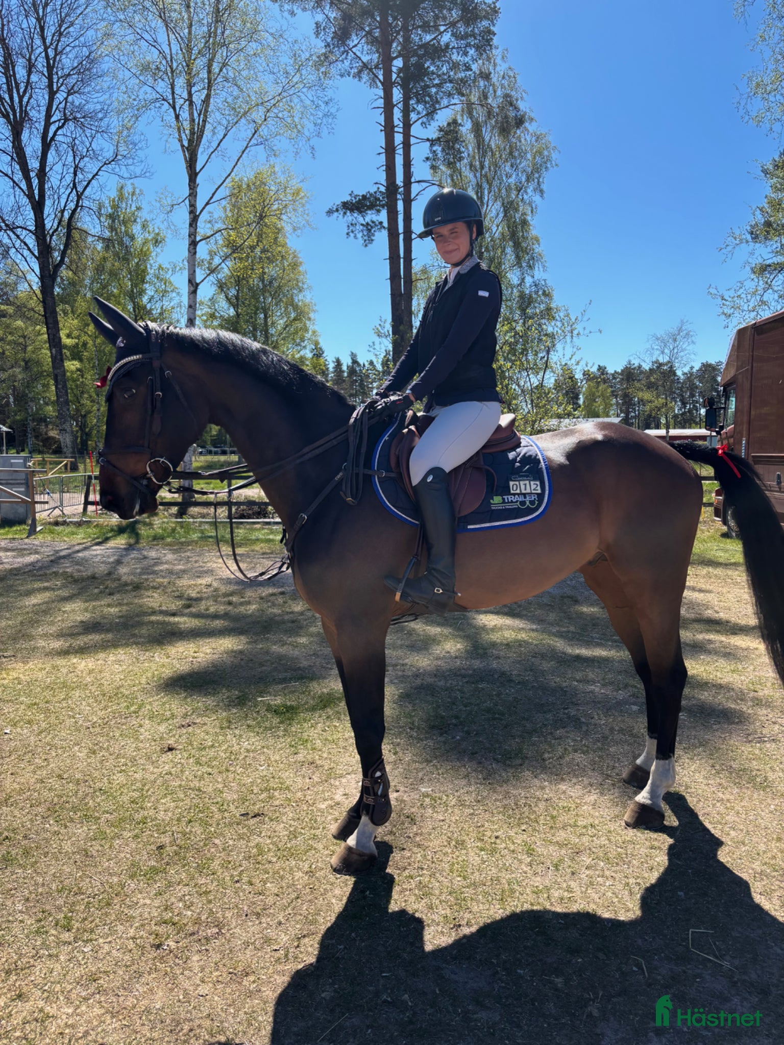  hästar Grön 6-åring med potential - Annons 3