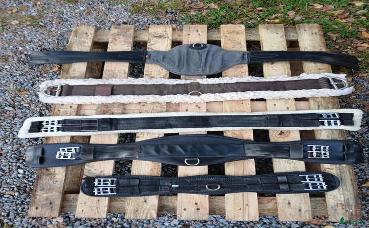 Sadeltillbehör hästutrustning till salu: Flera gjordar i Enköping - Annons 2