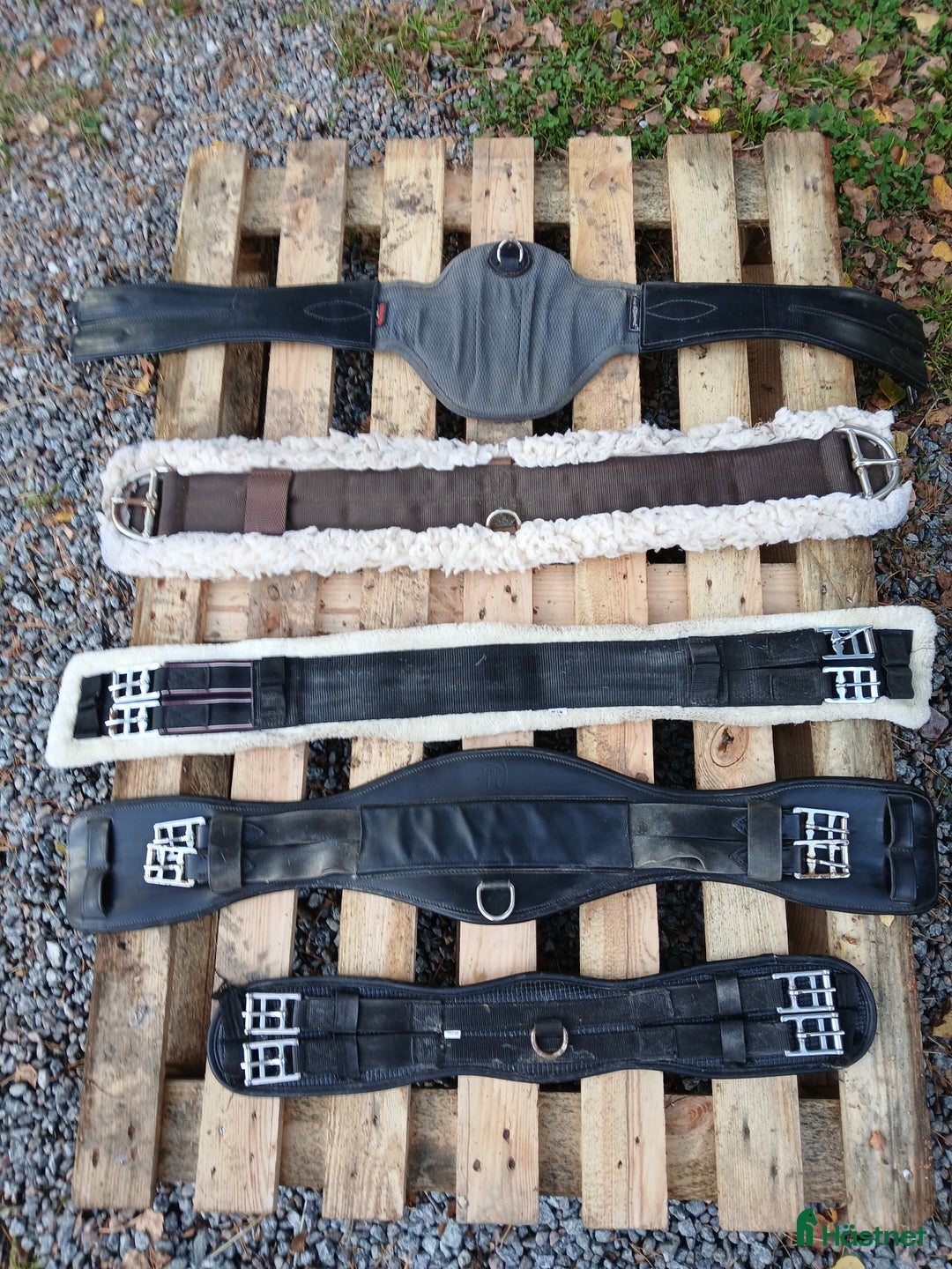 Sadeltillbehör hästutrustning till salu: Flera gjordar i Enköping - Annons 1