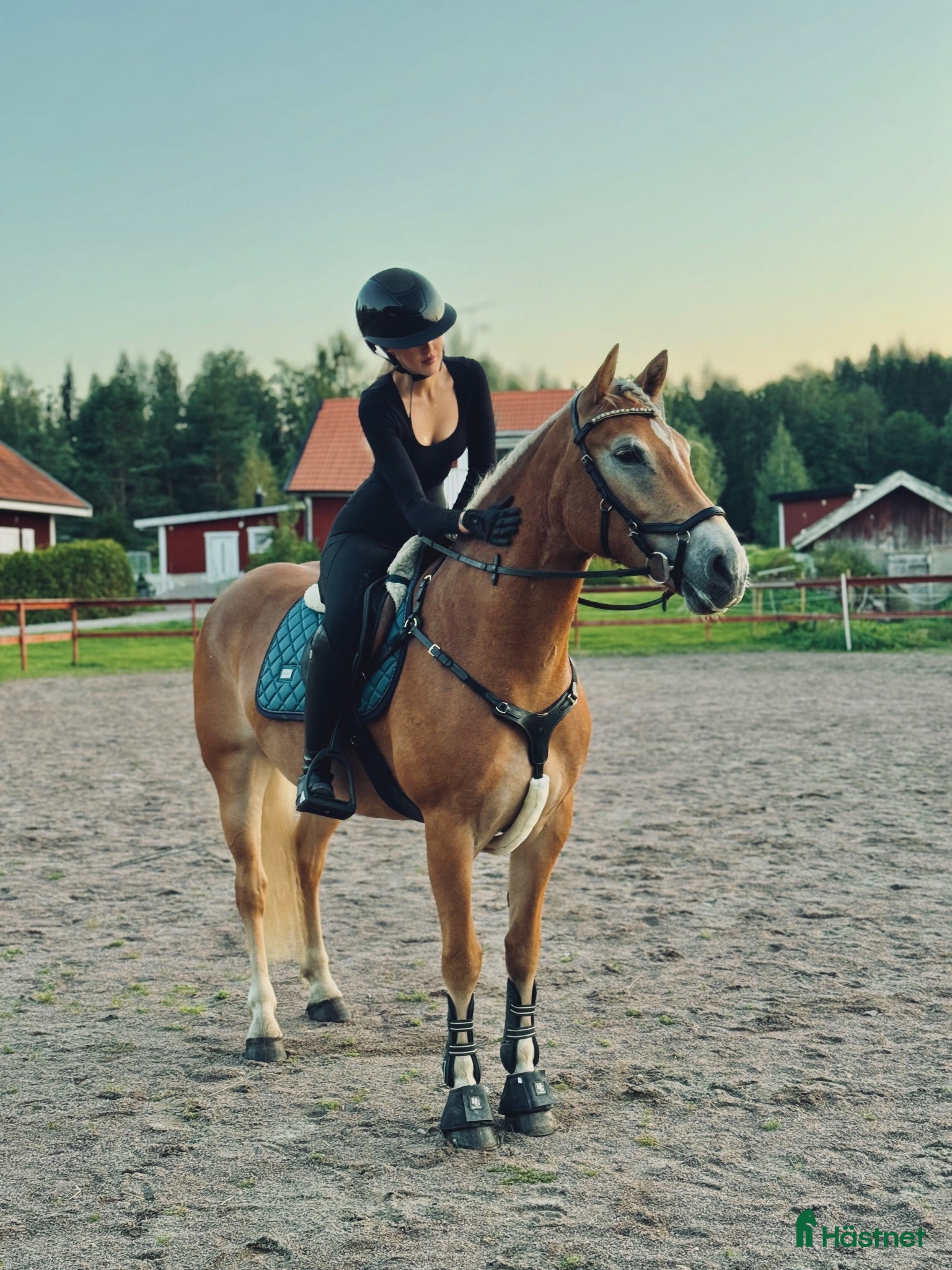  hästar Oslipad diamant 💛 - Annons 1