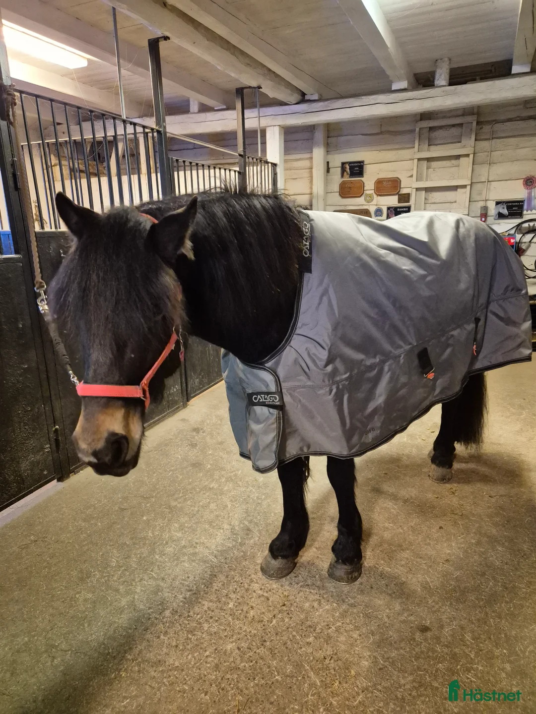 Täcken hästutrustning till salu: Täcke med extra bogfrihet - Annons 5