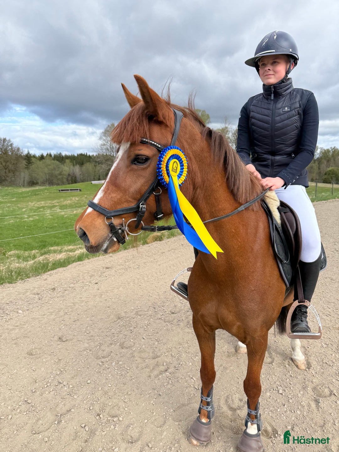 Galleribild {{count}}