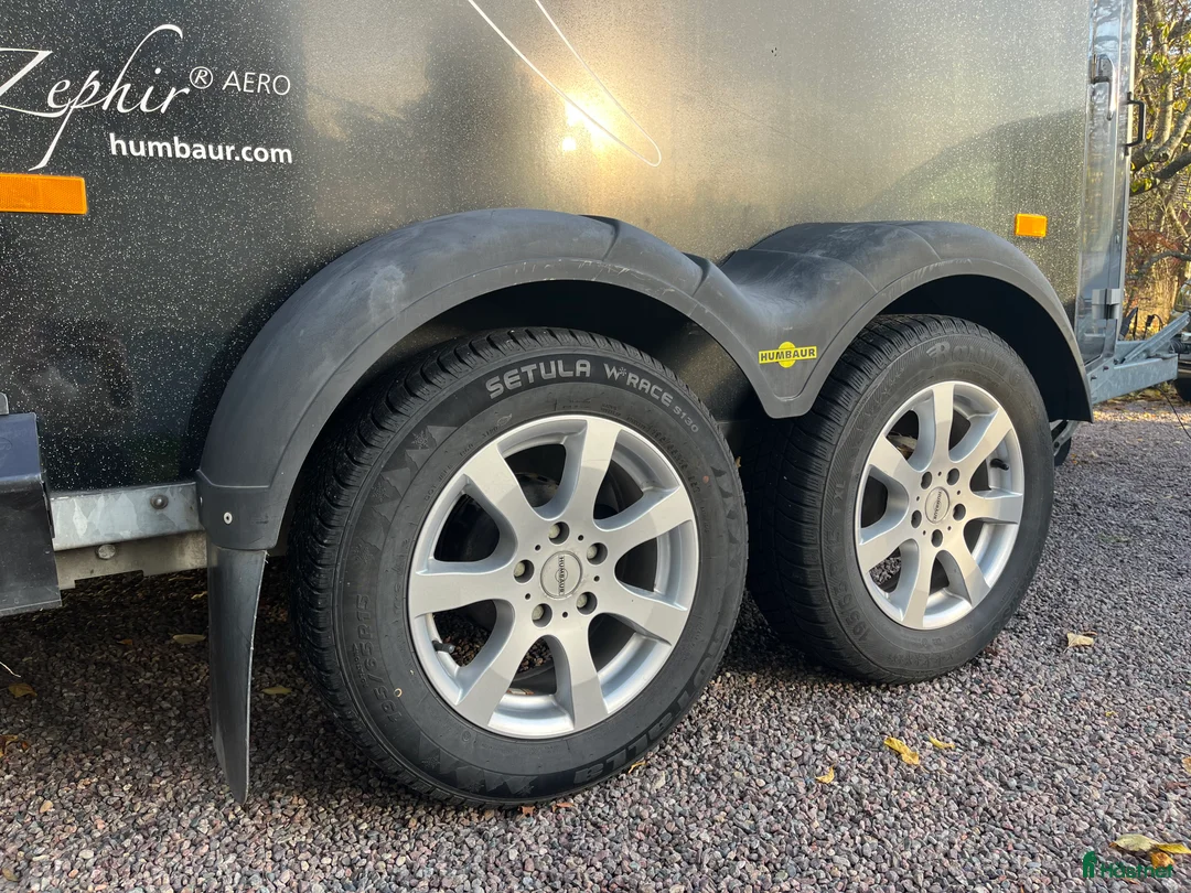 Hästtransporter  fordon & transport till salu: Humbaur Zephir hästtransport - Annons 7