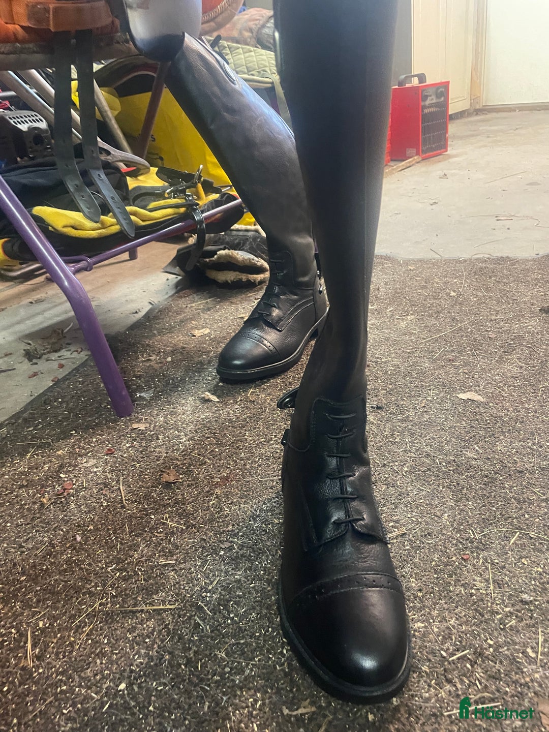 Ridstövlar ryttarutrustning till salu: Ridstövlar  i Falun - Annons 5