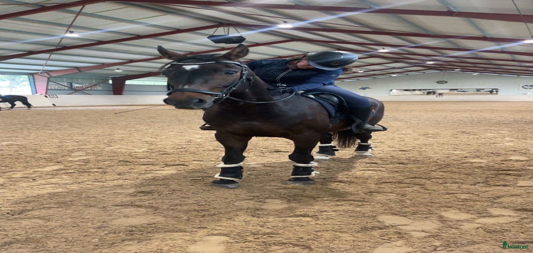 Galleribild {{count}}