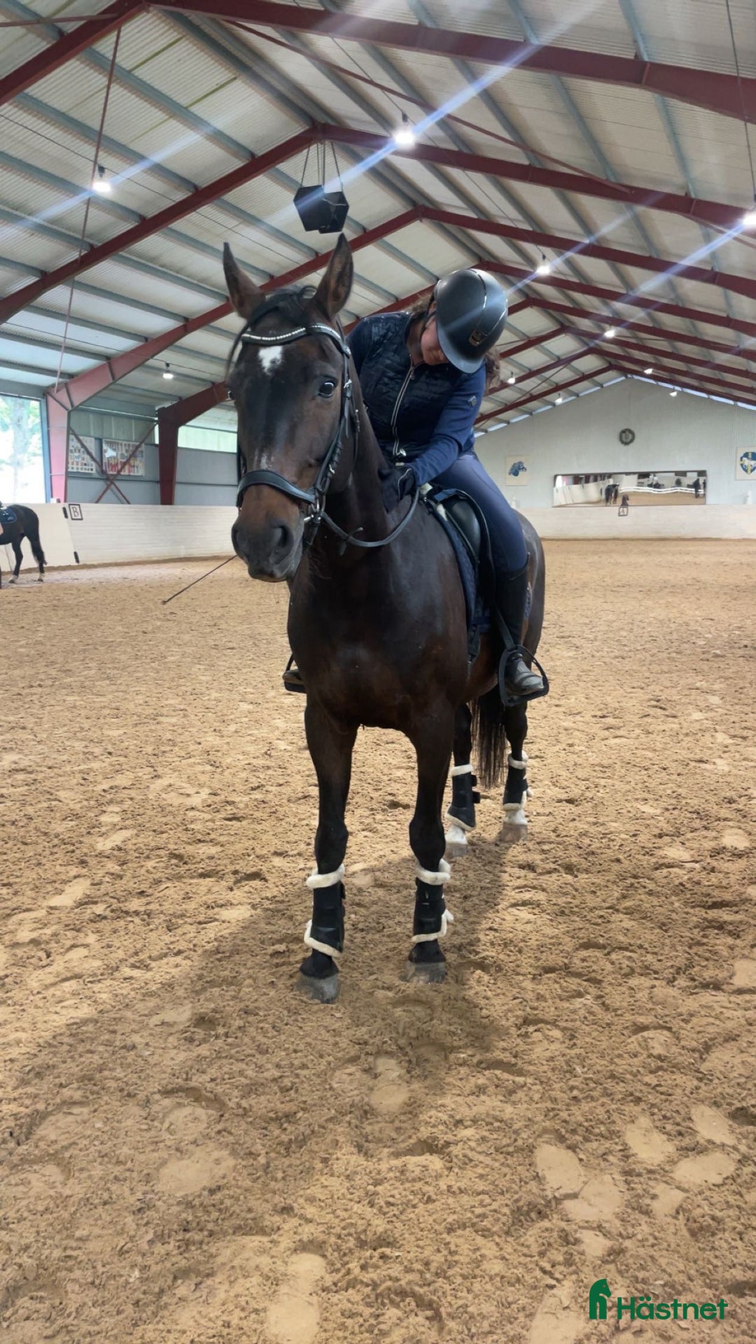 Galleribild {{count}}