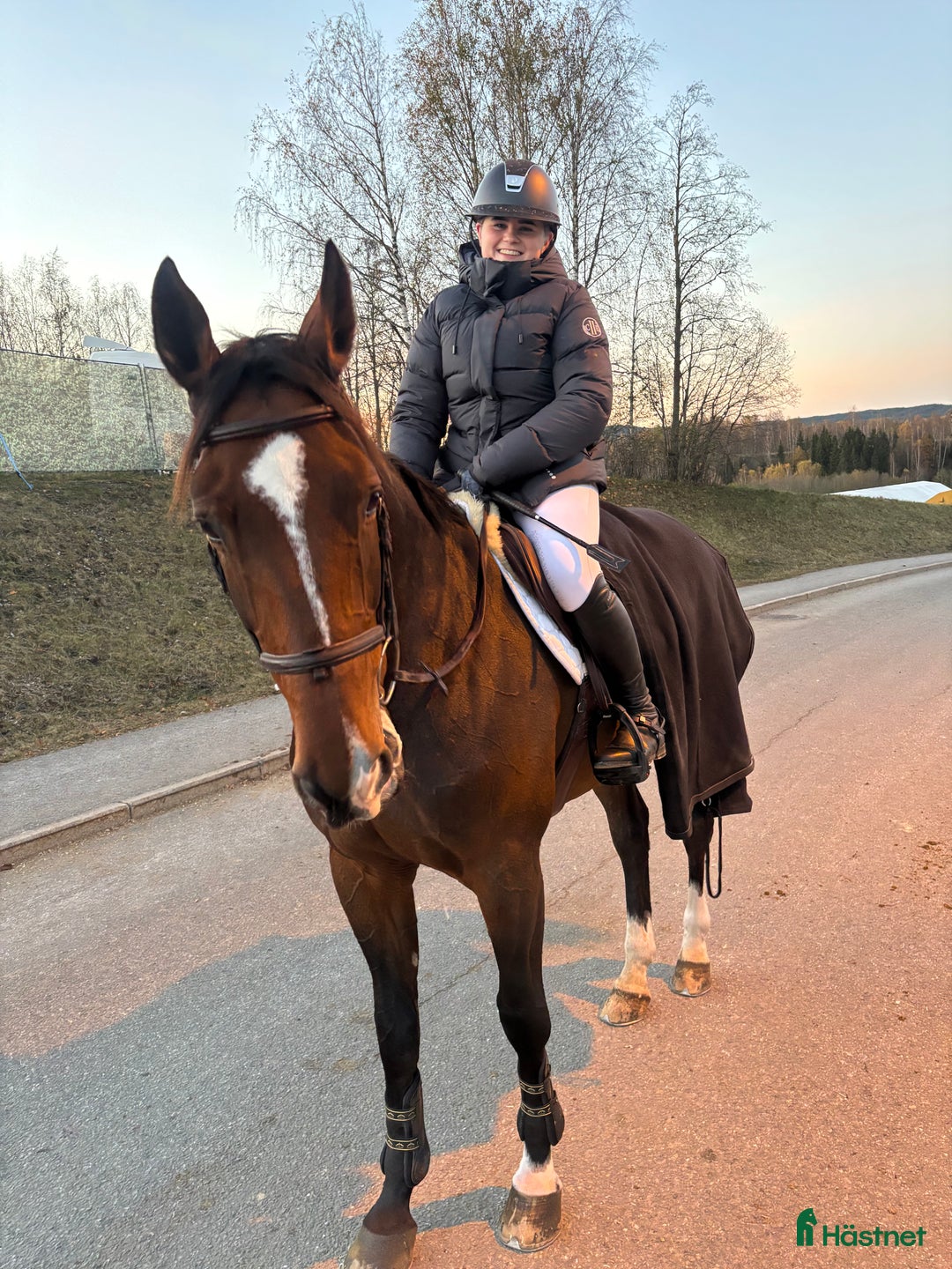 Hoppning hästar till salu: Magisk sprang hest, junior/youngrider i Aksdal - Annons 2