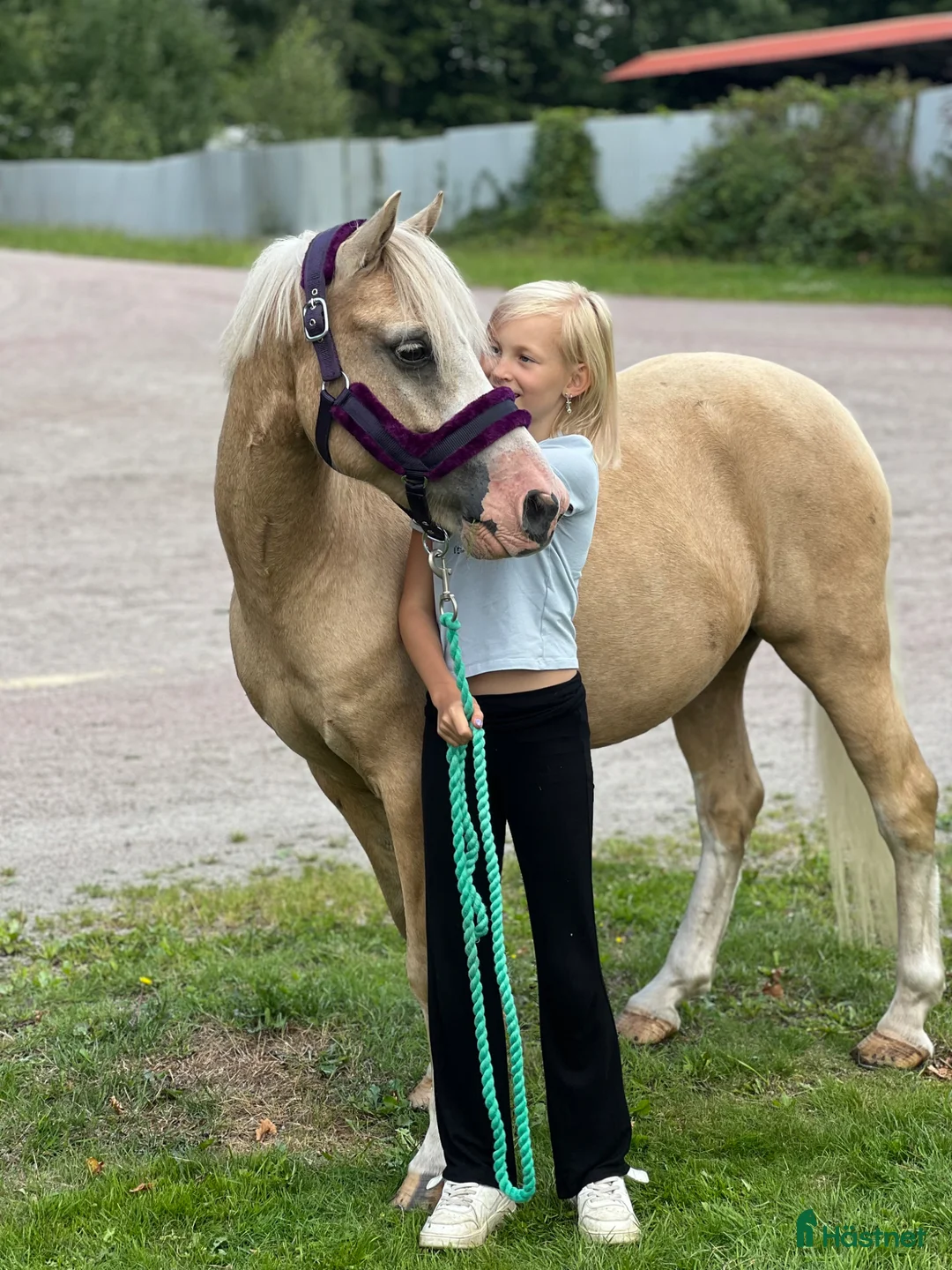 Allround hästar till salu: Sötaste Barbie ponnyn - Annons 1