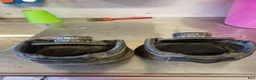 Övrig Hästutrustning hästutrustning till salu: Boa boots  - Annons 2
