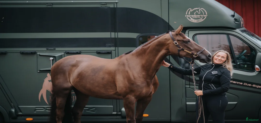 Galleribild {{count}}