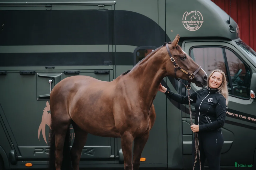 Galleribild {{count}}