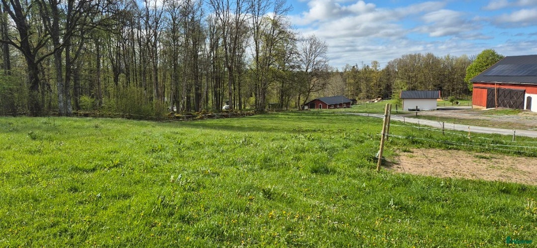 Allround hästar sökes: Har du  Gotlandsrusset jag söker ?  i Borås - Annons 4