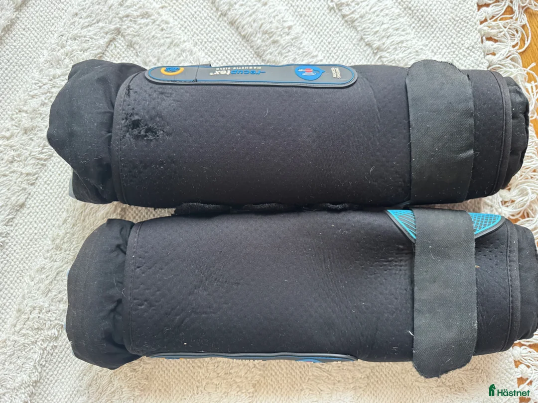 Benskydd hästutrustning till salu: Magnetskydd Recuptex Svart - Annons 2