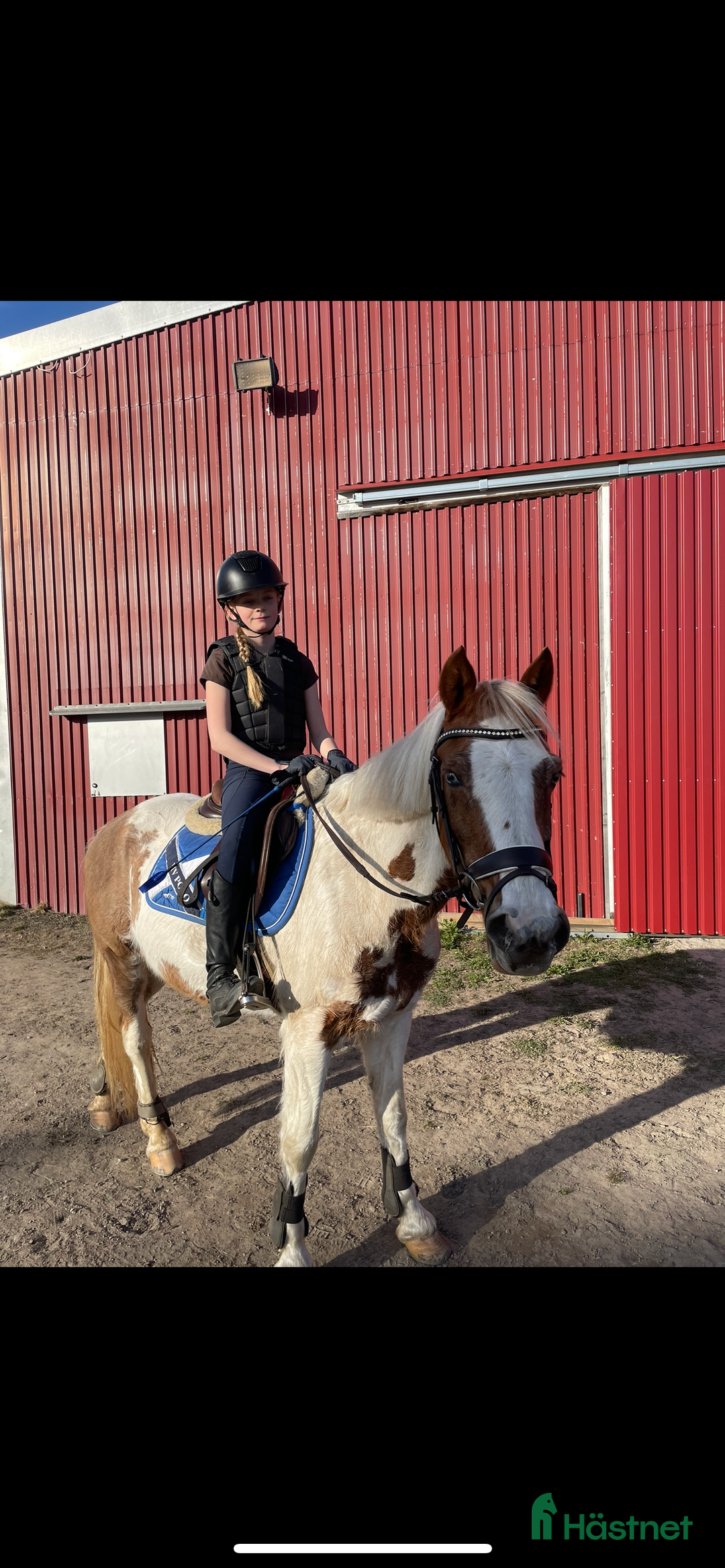 Allround hästar till salu: Foder ponny i Tidaholm - Annons 4