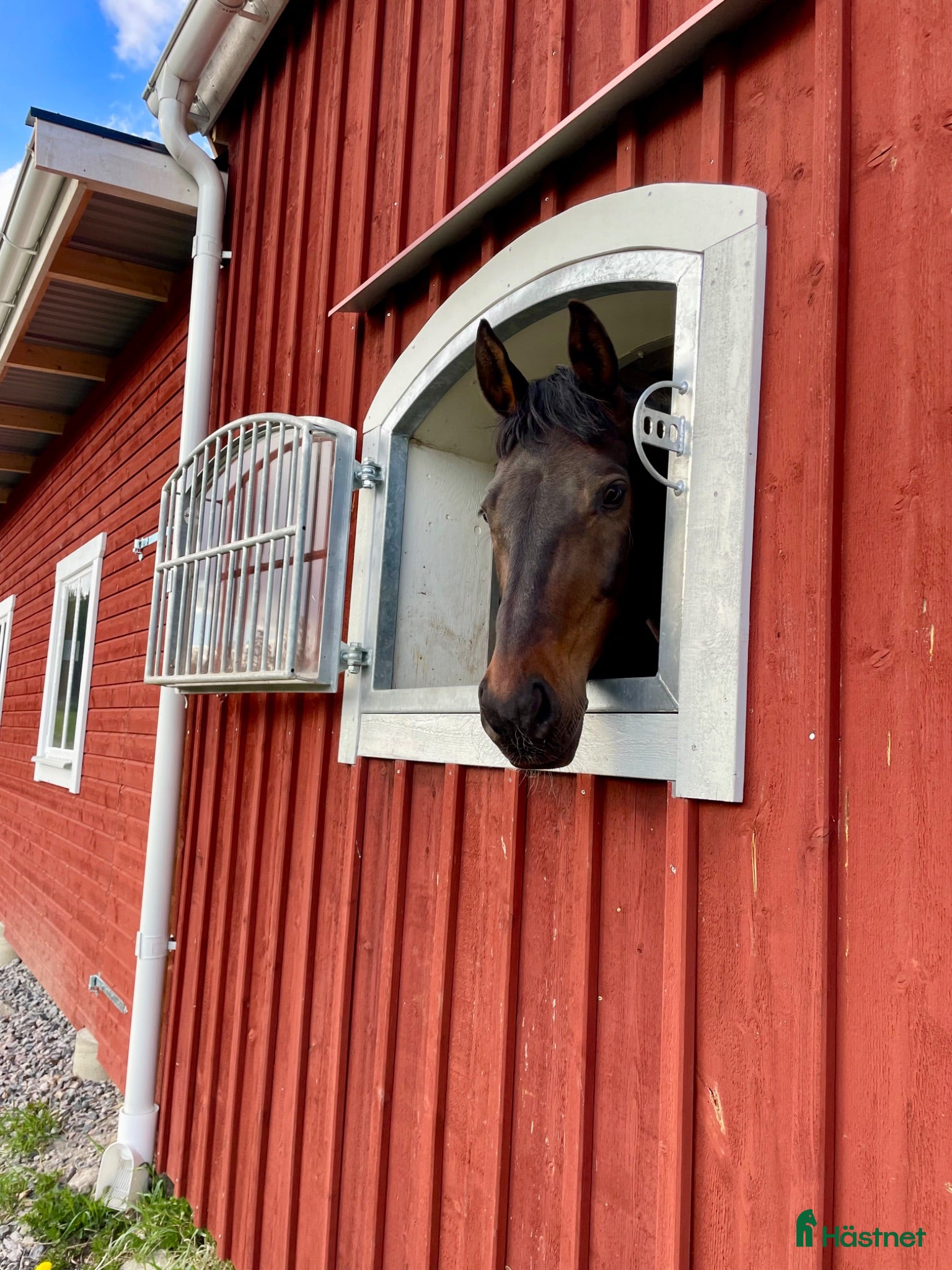  stallplats finnes: Ledig Stallplats  - Annons 1