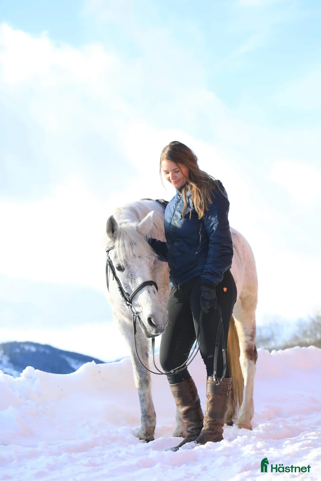 Allround hästar till salu: Vacker herre med hjärta av guld.  i Åre - Annons 5