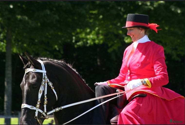 Galleribild {{count}}