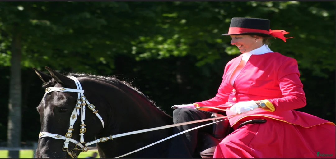 Galleribild {{count}}