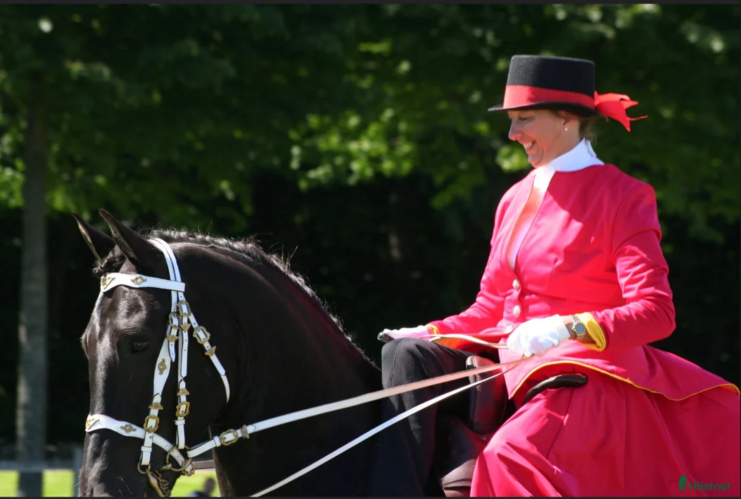 Galleribild {{count}}