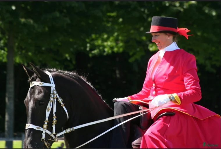 Galleribild {{count}}