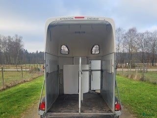 Hästtransporter fordon & transport till salu: Hästtransport med lem och dörr baktill i Slöinge - Annons 1