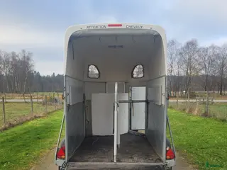 Hästtransporter fordon & transport till salu: Hästtransport med lem och dörr baktill i Slöinge - Annons 6