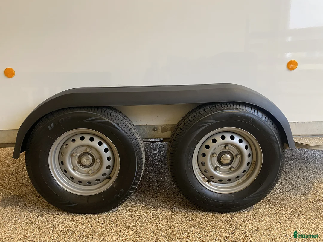 Hästtransporter  fordon & transport till salu: Fin Fautras Oblic+2 2021 m ramp o öppningsbar sida - Annons 6