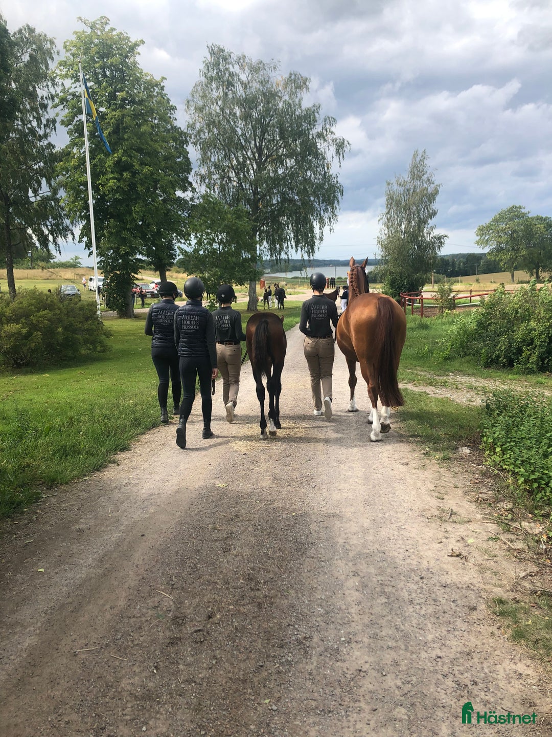  hästjobb finnes: Ridlärare/HästS. sökes till Mälarhöjdens Ridskola i Skärholmen - Bild 7
