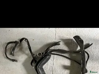 Körselar körning till salu: Körsele - Annons 1