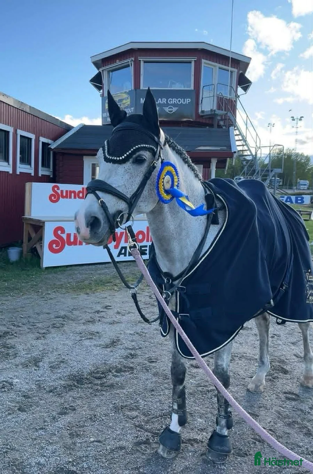 Hoppning hästar till salu: Charmig och positiv D-ponny - Annons 3