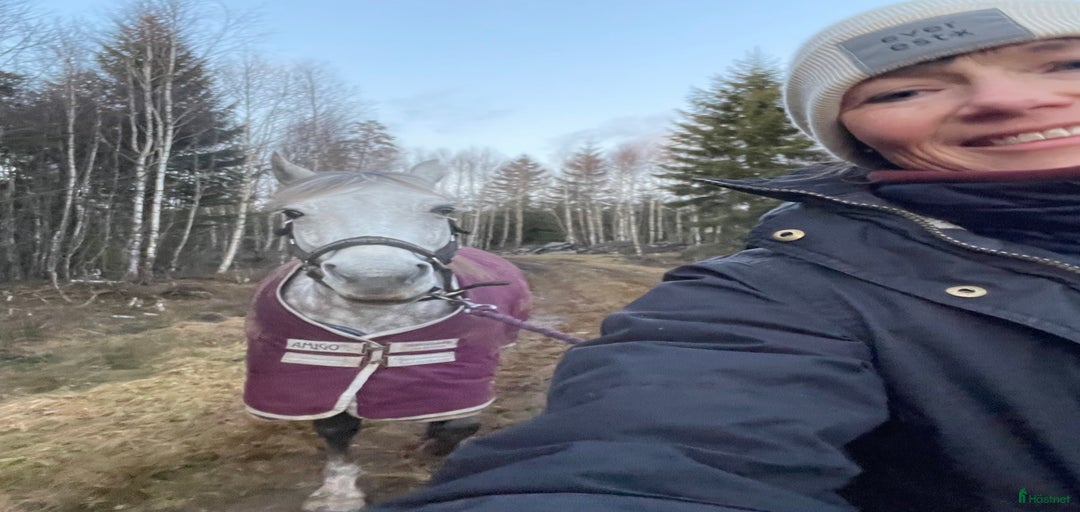 Galleribild {{count}}