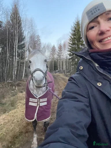 Galleribild {{count}}