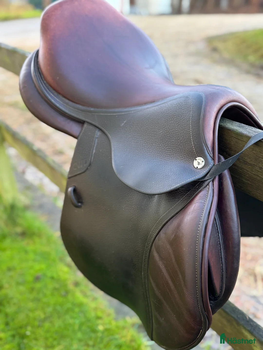 Sadlar hästutrustning till salu: CWD SE01 sadel till salu  - Annons 2