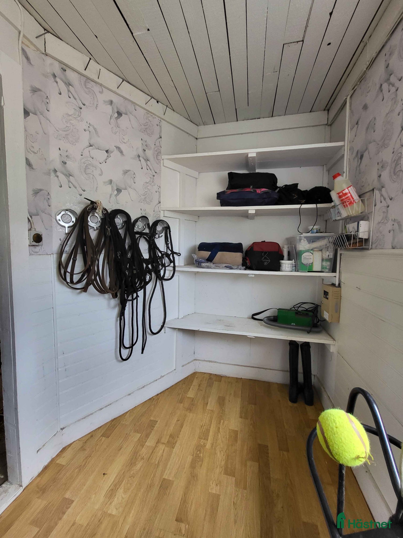  stallplats finnes: Fullservice Lösdrift  i Ljung - Annons 9