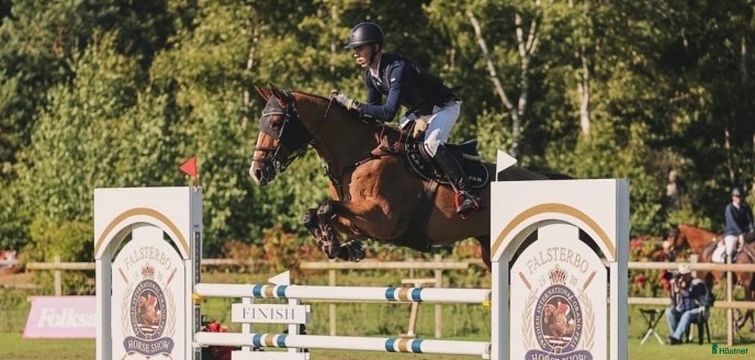 Galleribild {{count}}