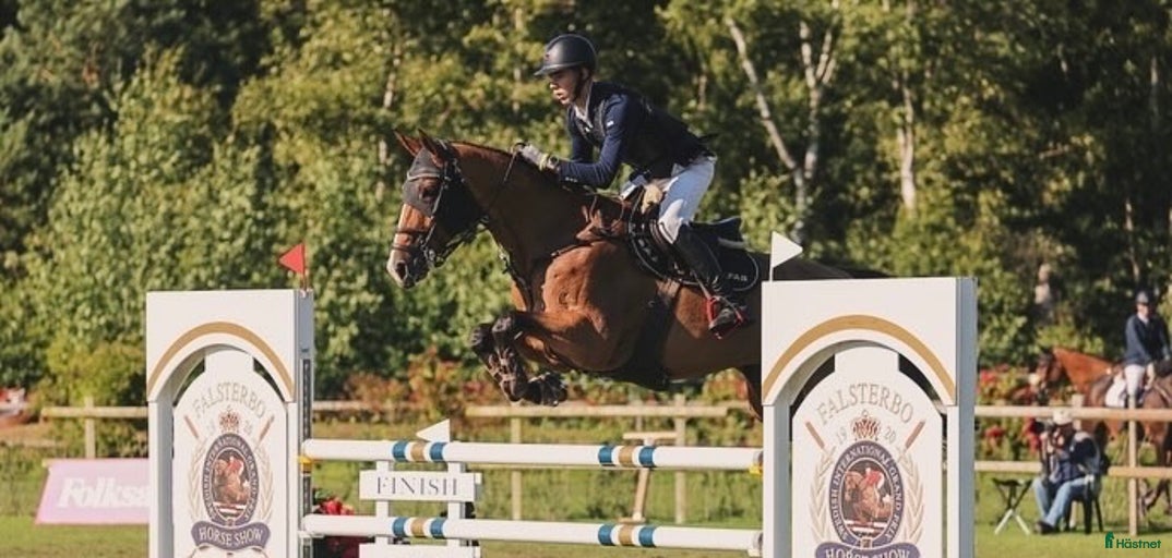 Galleribild {{count}}