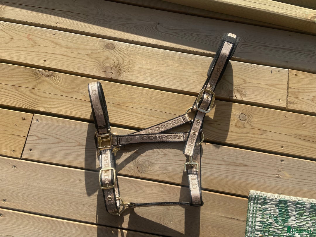 Schabrak & Vojlockar hästutrustning till salu: Schabrak säljes  i Vendelsö - Annons 4