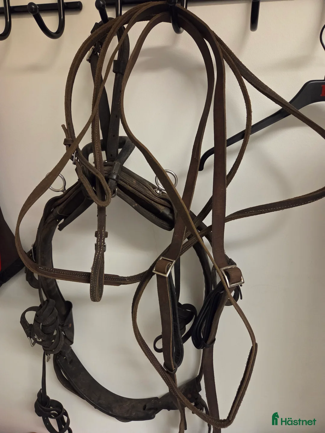 Travselar trav till salu: Remsele - Annons 1