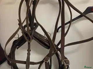 Travselar trav till salu: Remsele - Annons 1