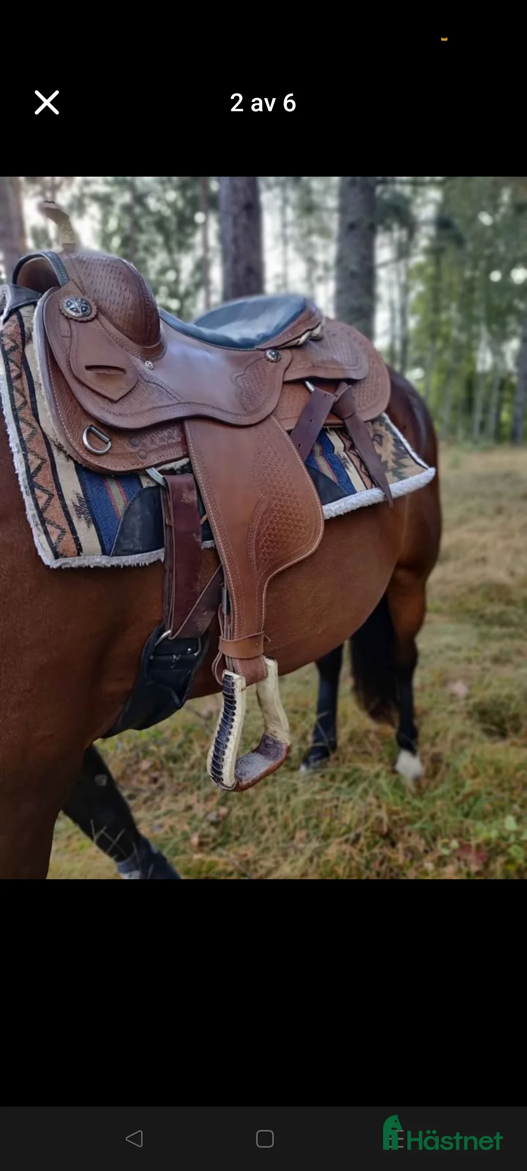 Sadlar hästutrustning till salu: Westernsadel  i Mönsterås - Annons 3