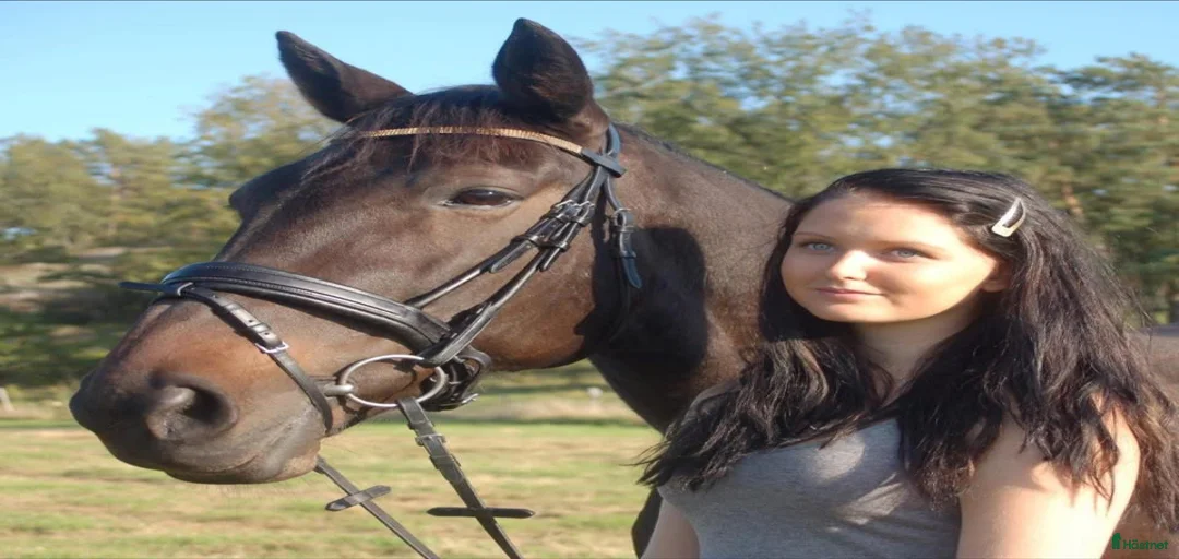 Galleribild {{count}}