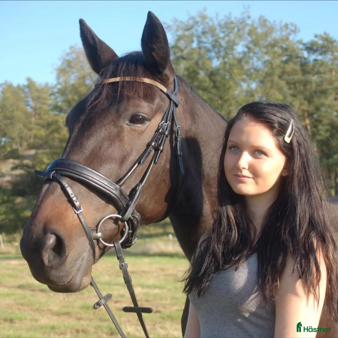 Galleribild {{count}}