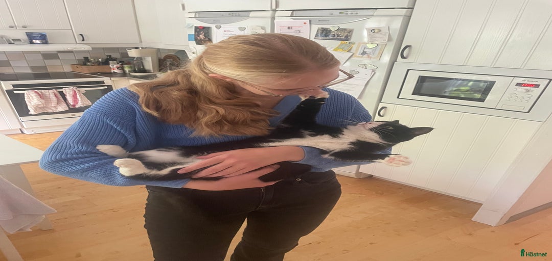 Galleribild {{count}}